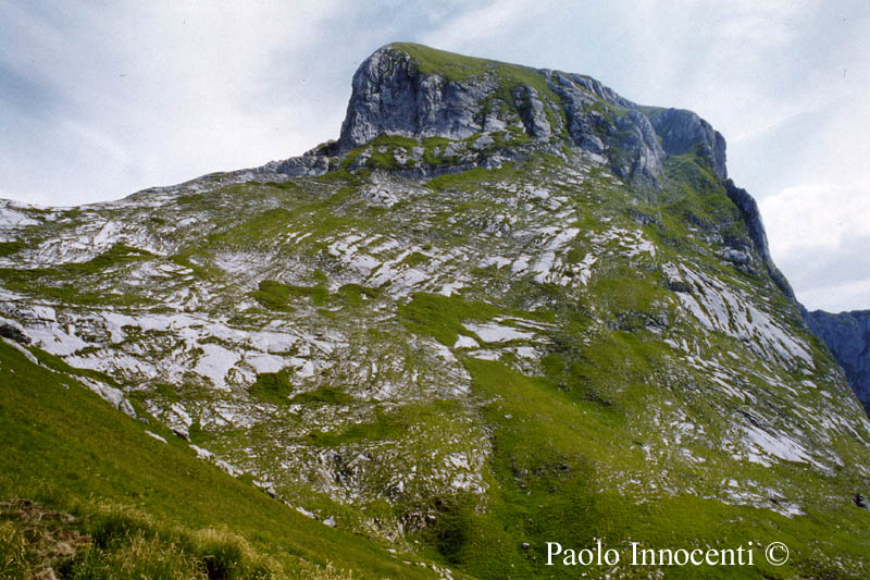 MONTE SUMBRA